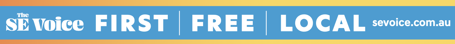 SE Voice 2025 Banner