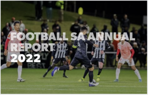 Annual Report Button