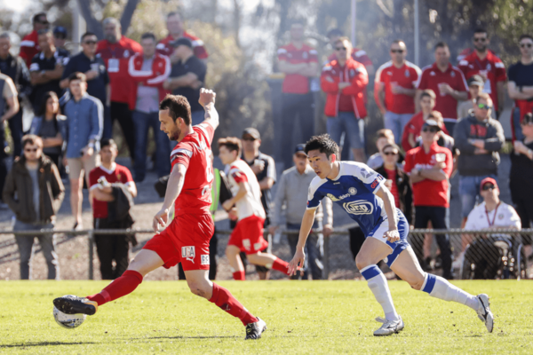 Campbelltown v Lions Feature Image