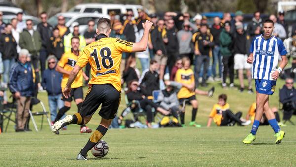 Tea Tree Gully ffa cup