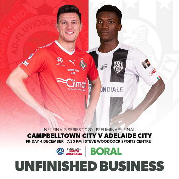 NPL prelim