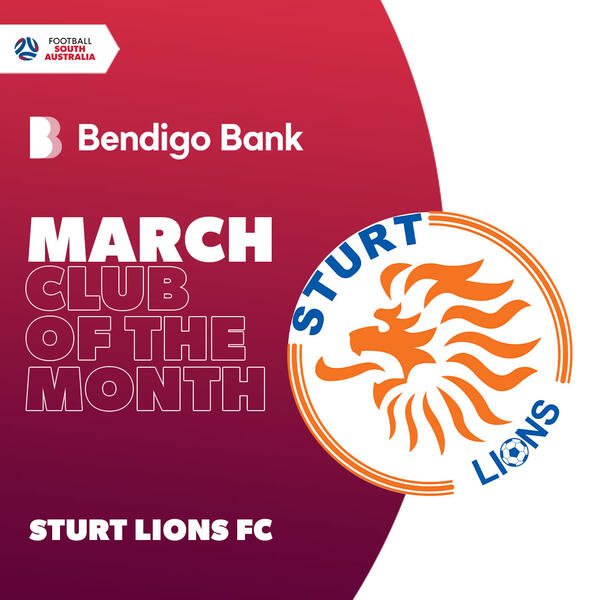 sturt lions