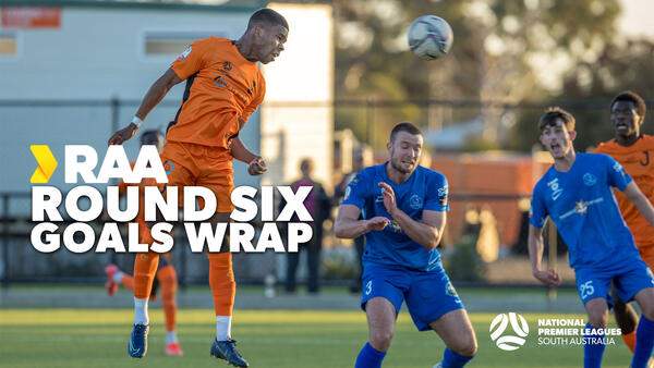 NPLSA Highlights