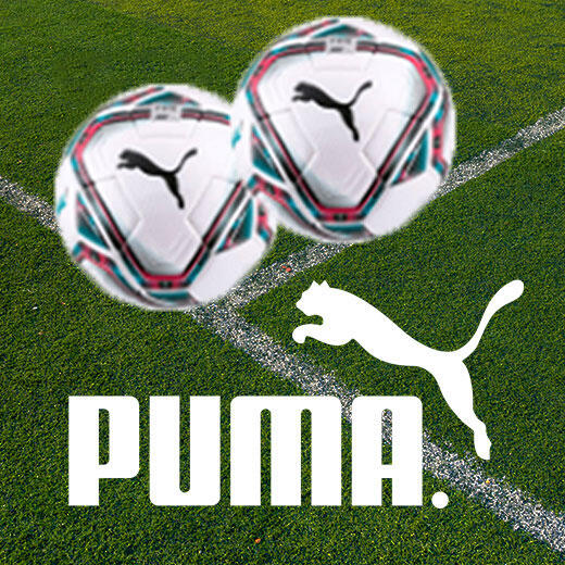 puma