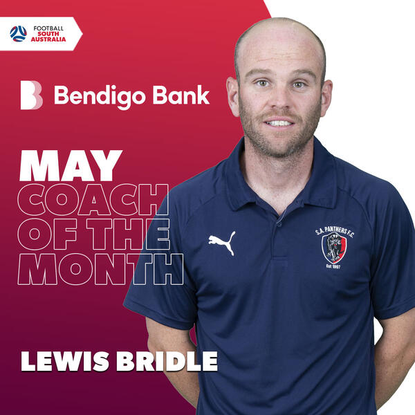 LEWIS BRIDLE