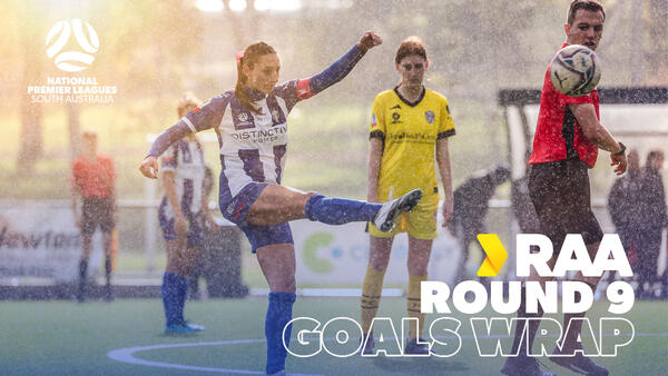 WNPLSA Goals Wrap