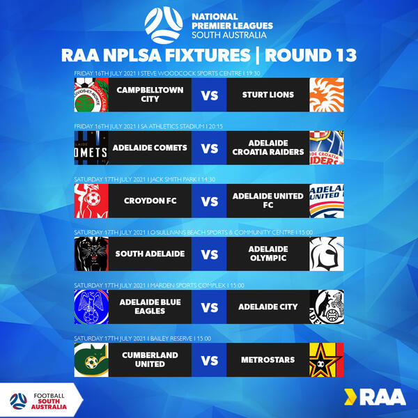 NPLSA RD 13