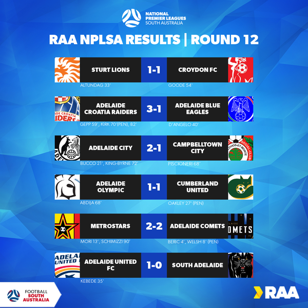 Results NPLSA