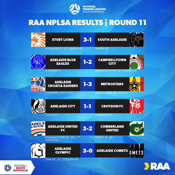 Results NPLSA