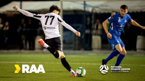 NPLSA