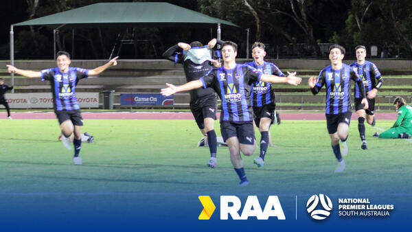NPLSA