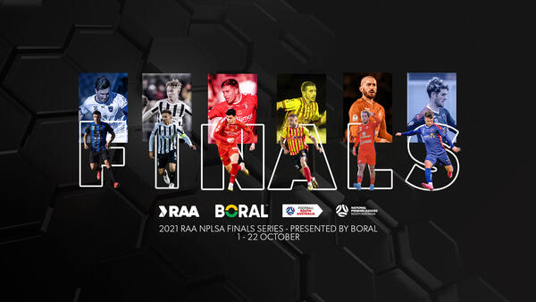 NPLSA