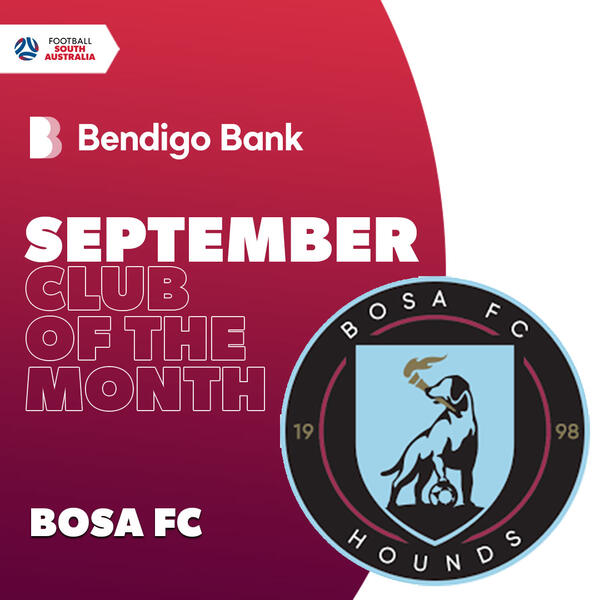 BOSA