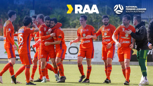 NPLSA