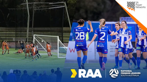 Prelim Goals Wrap