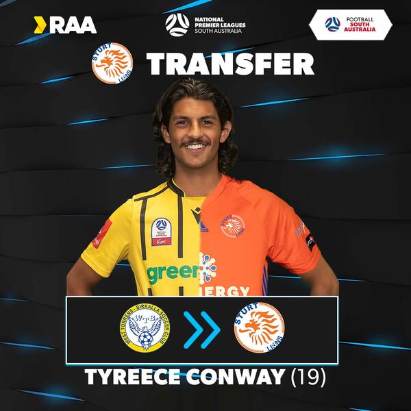 Conway to Sturt Lions