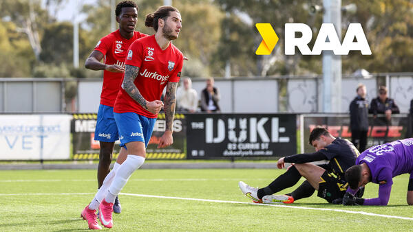 NPLSA