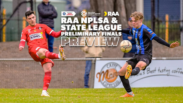 RAA NPLSA