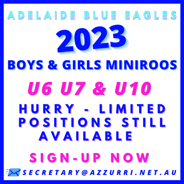 Blue Eagles MiniRoos
