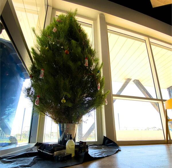 Catherine House - Tree