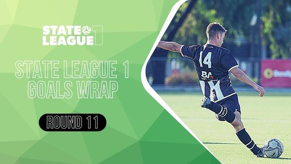 State League Goals Wrap
