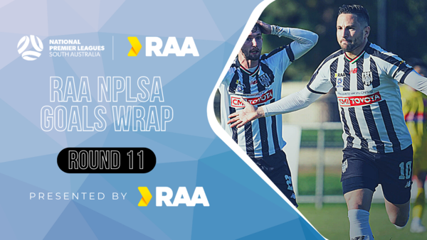 RAA NPLSA