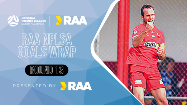 NPLSA