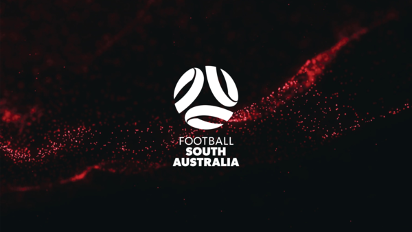 Annual Report Banner