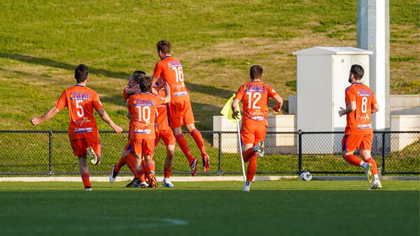 Sturt Lions