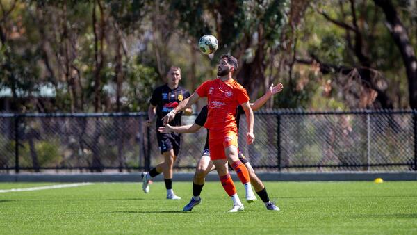 Sturt Lions