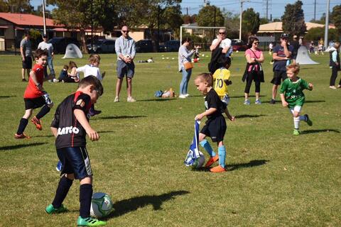 Port Pirates MiniRoos #6