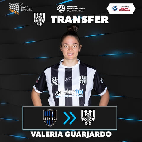 Transfer