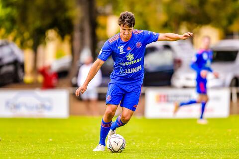 Sturt Lions